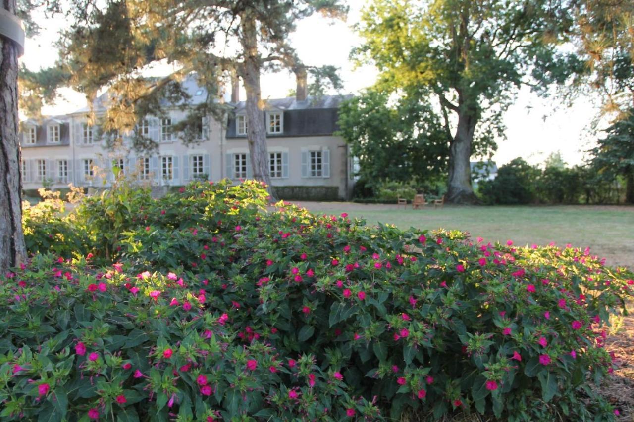 Colivault Bed & Breakfast Cande-sur-Beuvron Ngoại thất bức ảnh